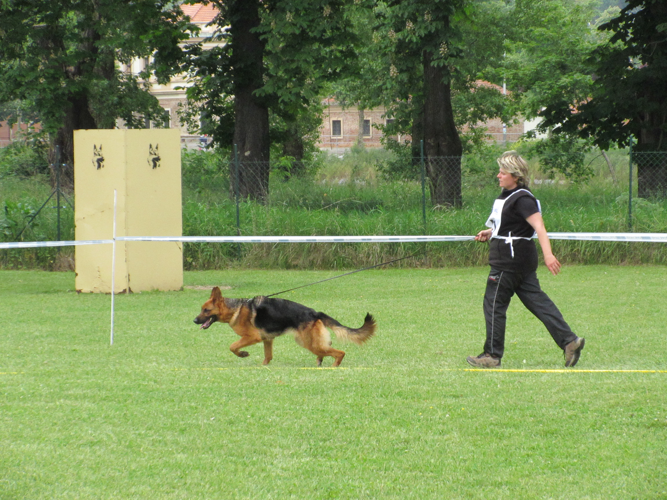 stromovka 2015 Alexa