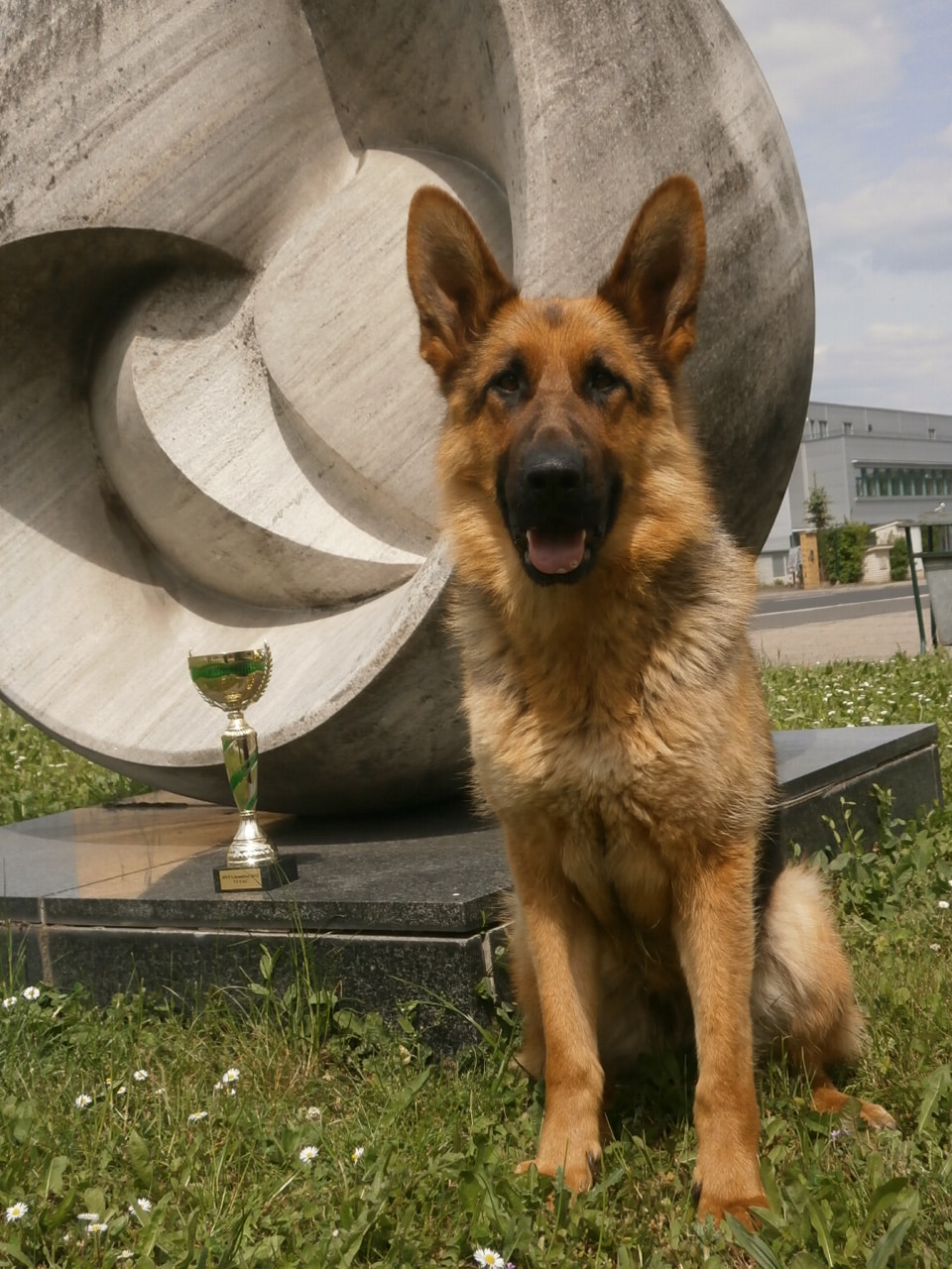 MVP Litoměřice 2015 V1 - CAC