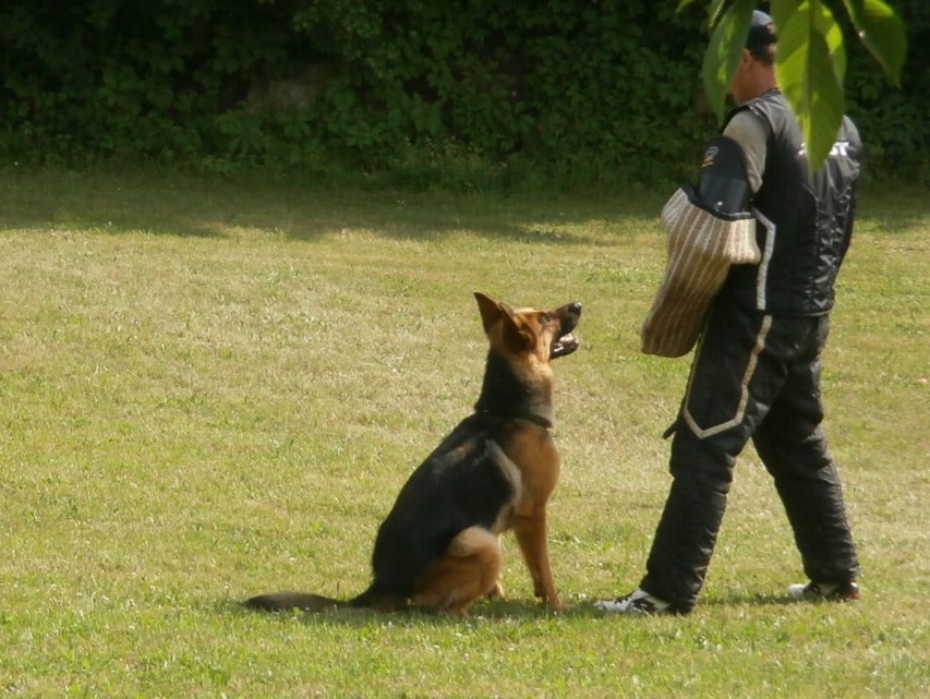 Diga bonitace - dohlídávání