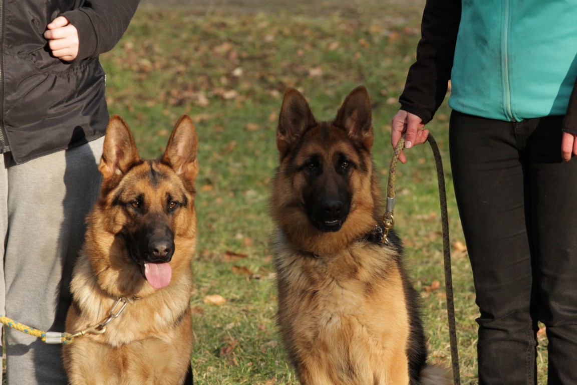 Iliana a Kira