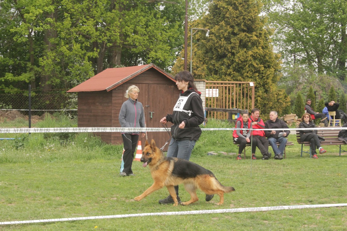 Kenya Pardubice 2019