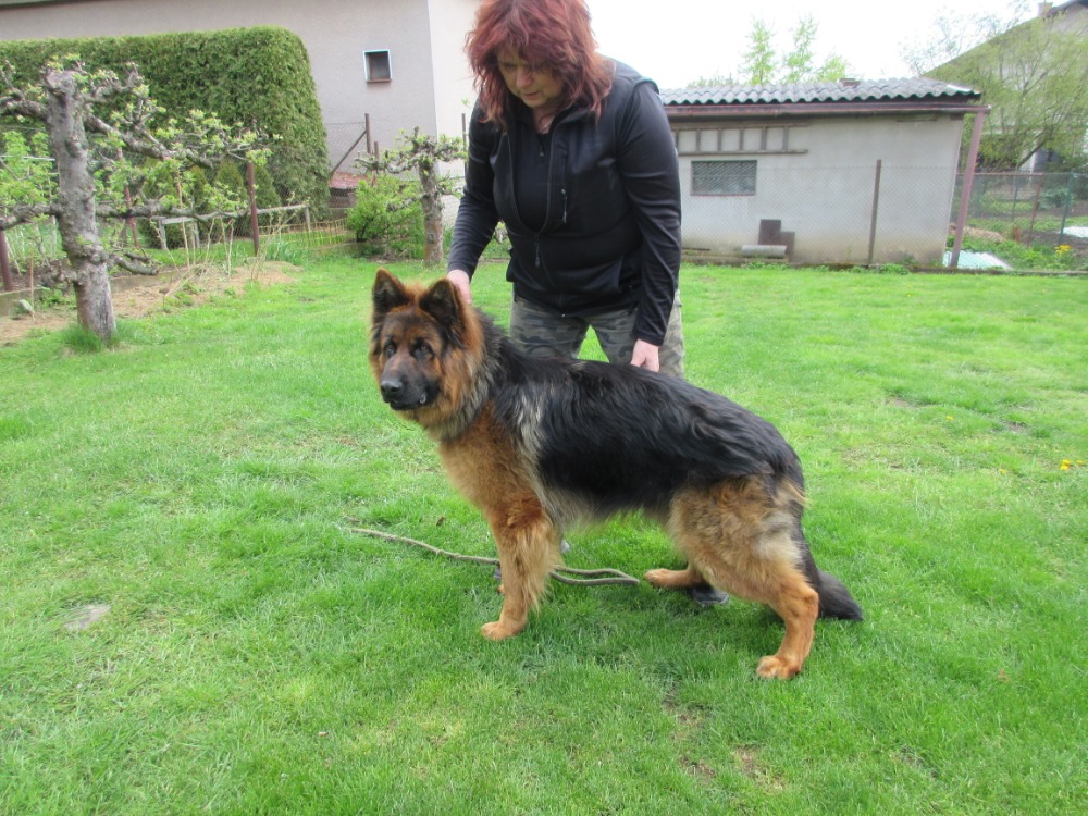 Omar 1,5 roku