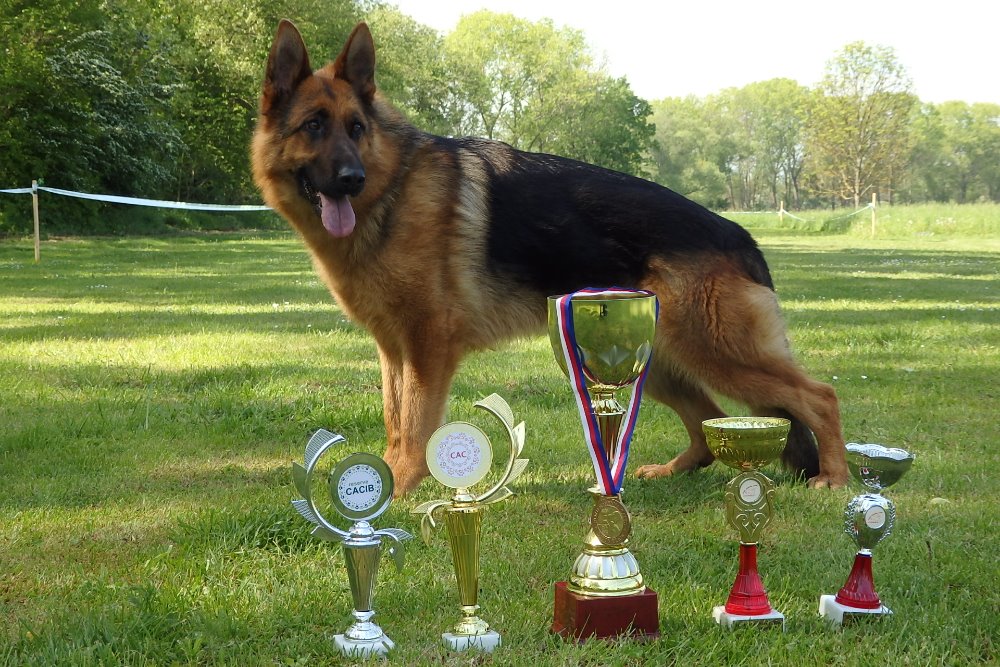 Kenya po MVP Litoměřice