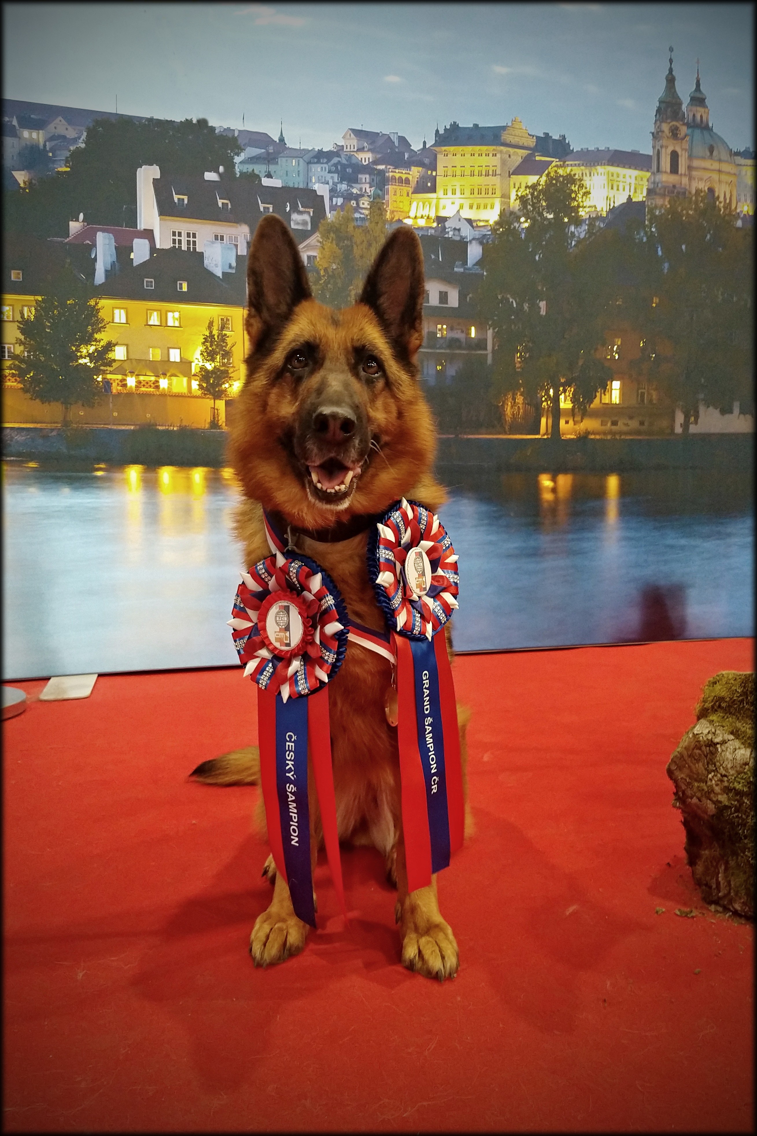 GCh Kenya z Likonu