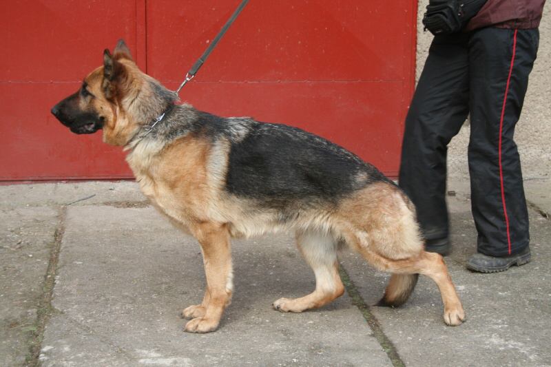 Perla z Likonu.jpg