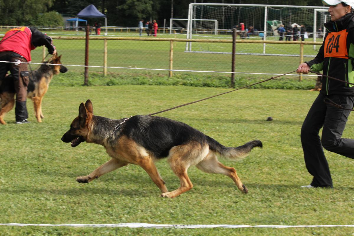Xira KVV2012